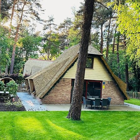 Vakantiewoning Waag Rekem Zewnętrze zdjęcie