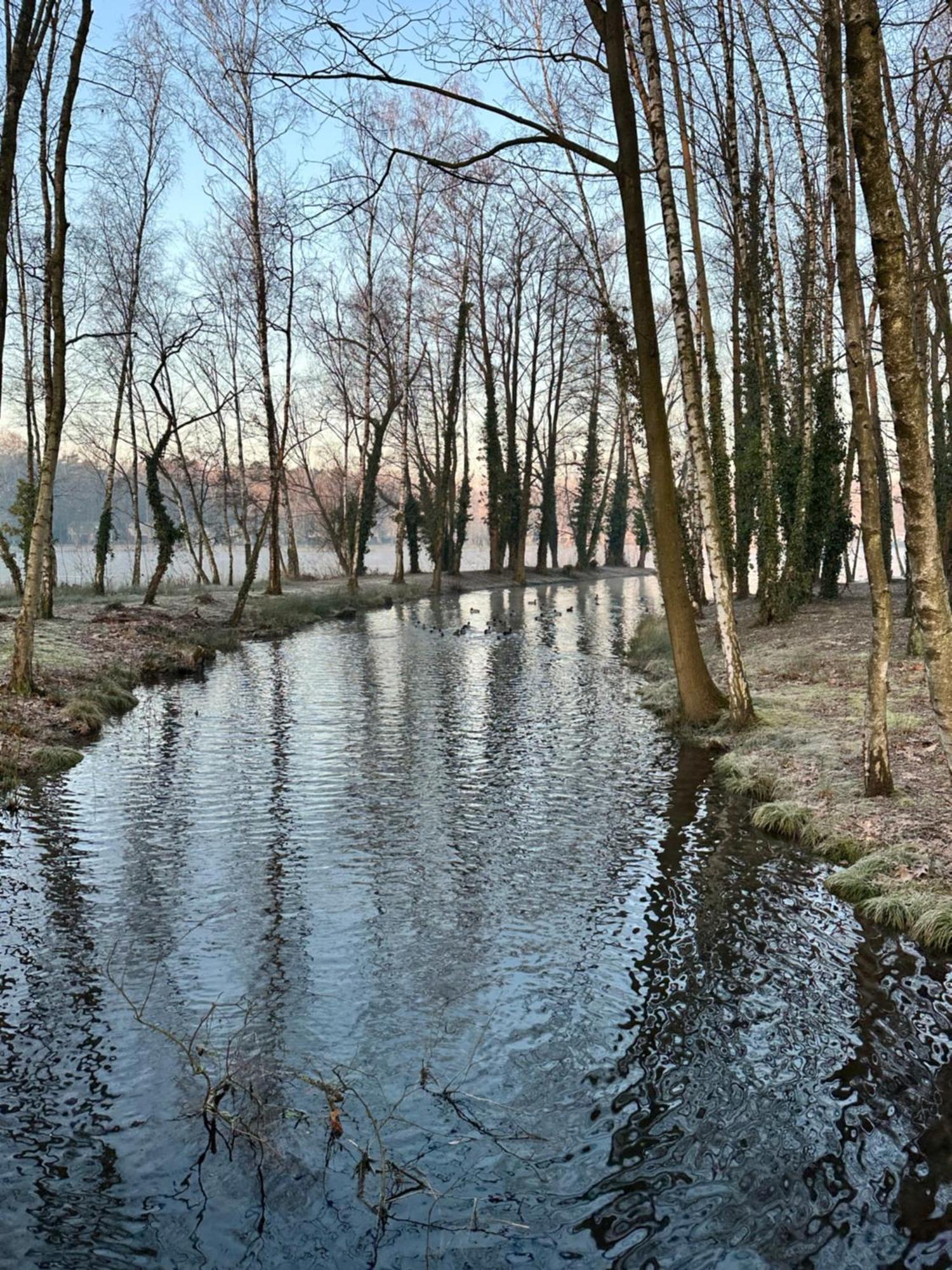 Vakantiewoning Waag Rekem Zewnętrze zdjęcie